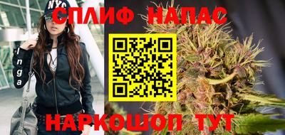 прущие грибы Абинск