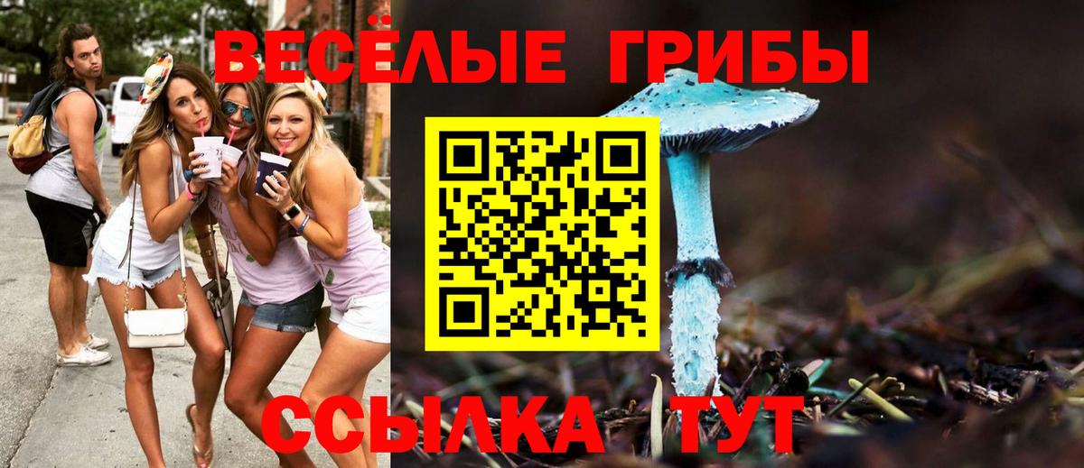 Абакан  Псилоцибиновые грибы Psilocybine cubensis  Вход с VPN 